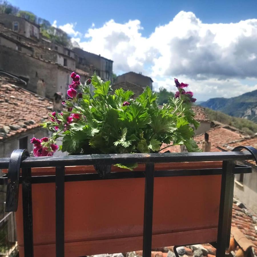 B&B Il Campanile Di Leone Pina San Lorenzo Bellizzi Εξωτερικό φωτογραφία
